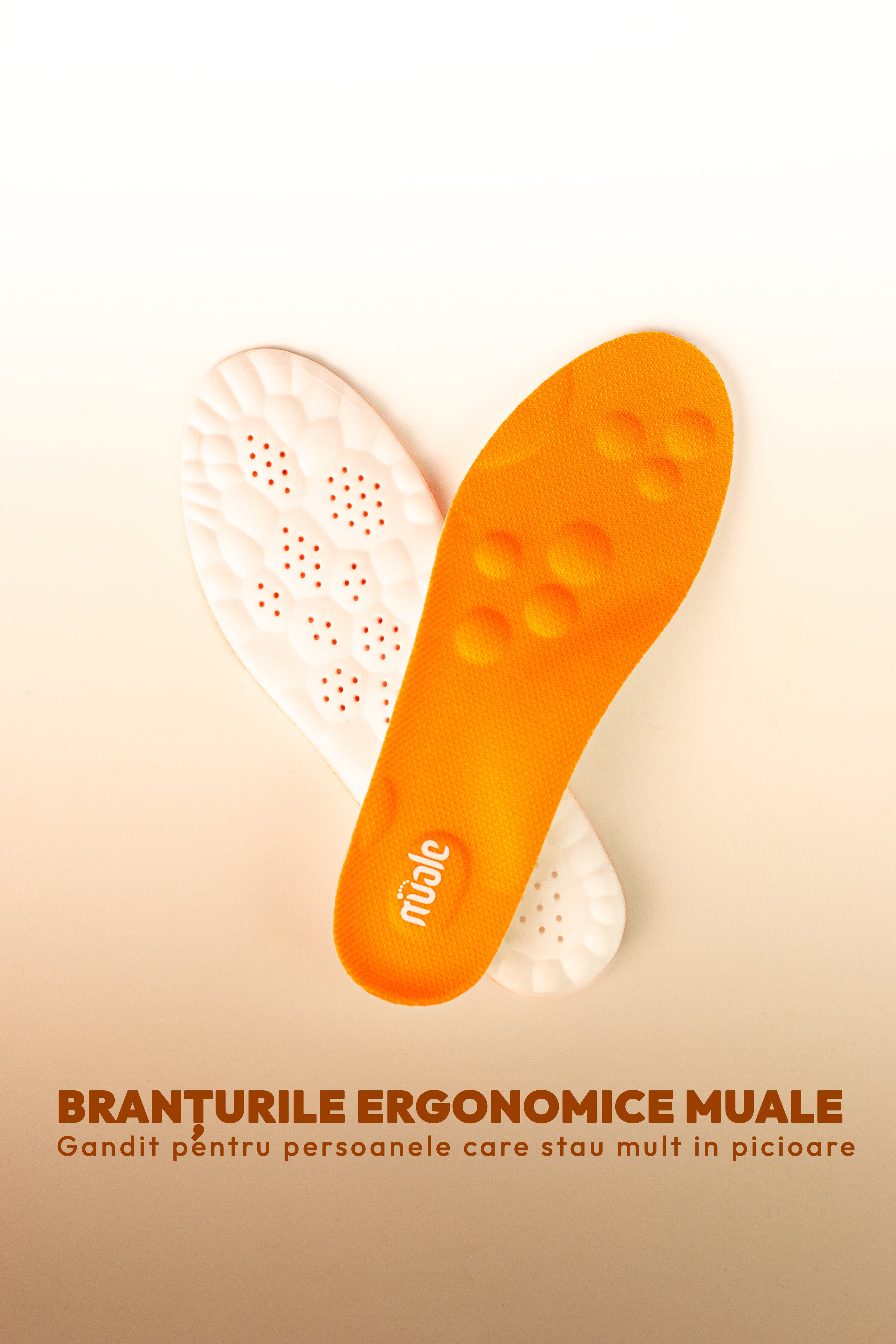 Branțuri ergonomice - muale